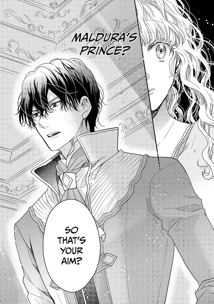 Princess Bibliophile Chapter 32 14